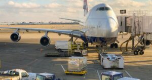 Flying Your Pet as Cargo: What Really Happens on Board?