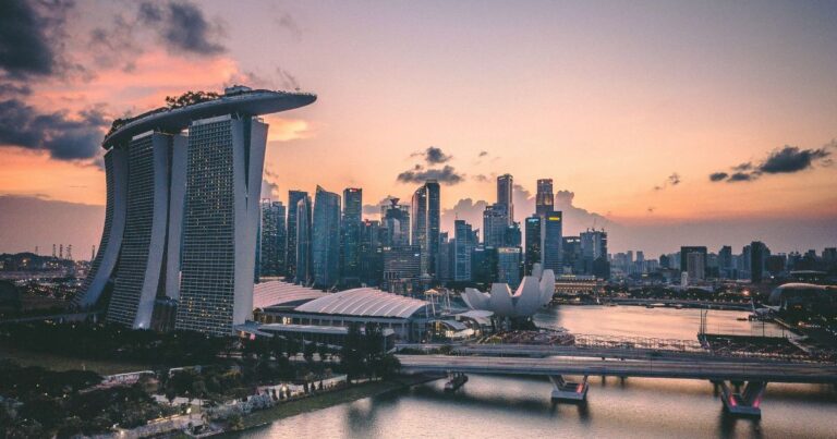 Moving to Singapore with Your Pet: Complete Guide